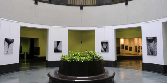 Hynes Convention Center Rotunda Gallery