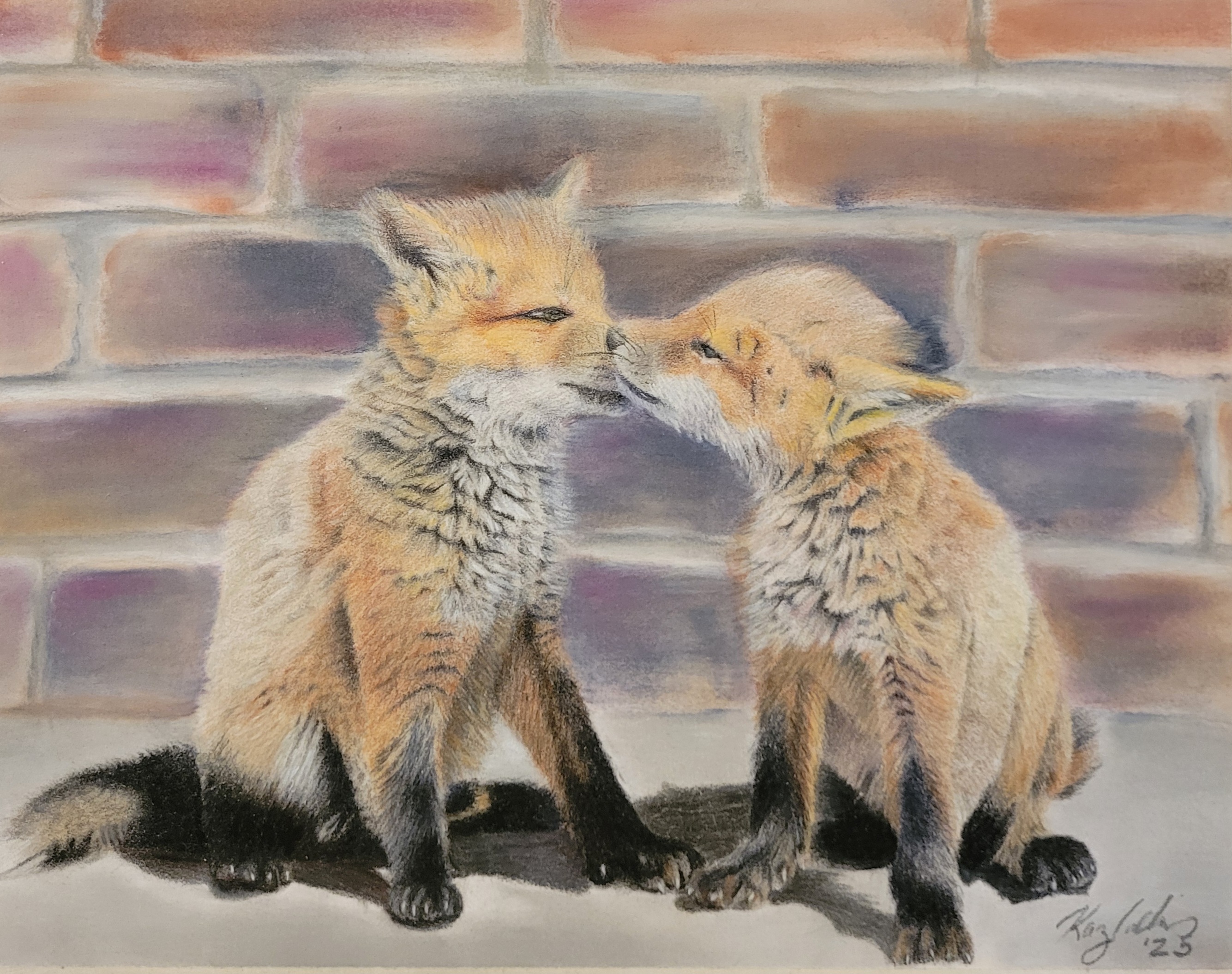 Young Foxes portrait