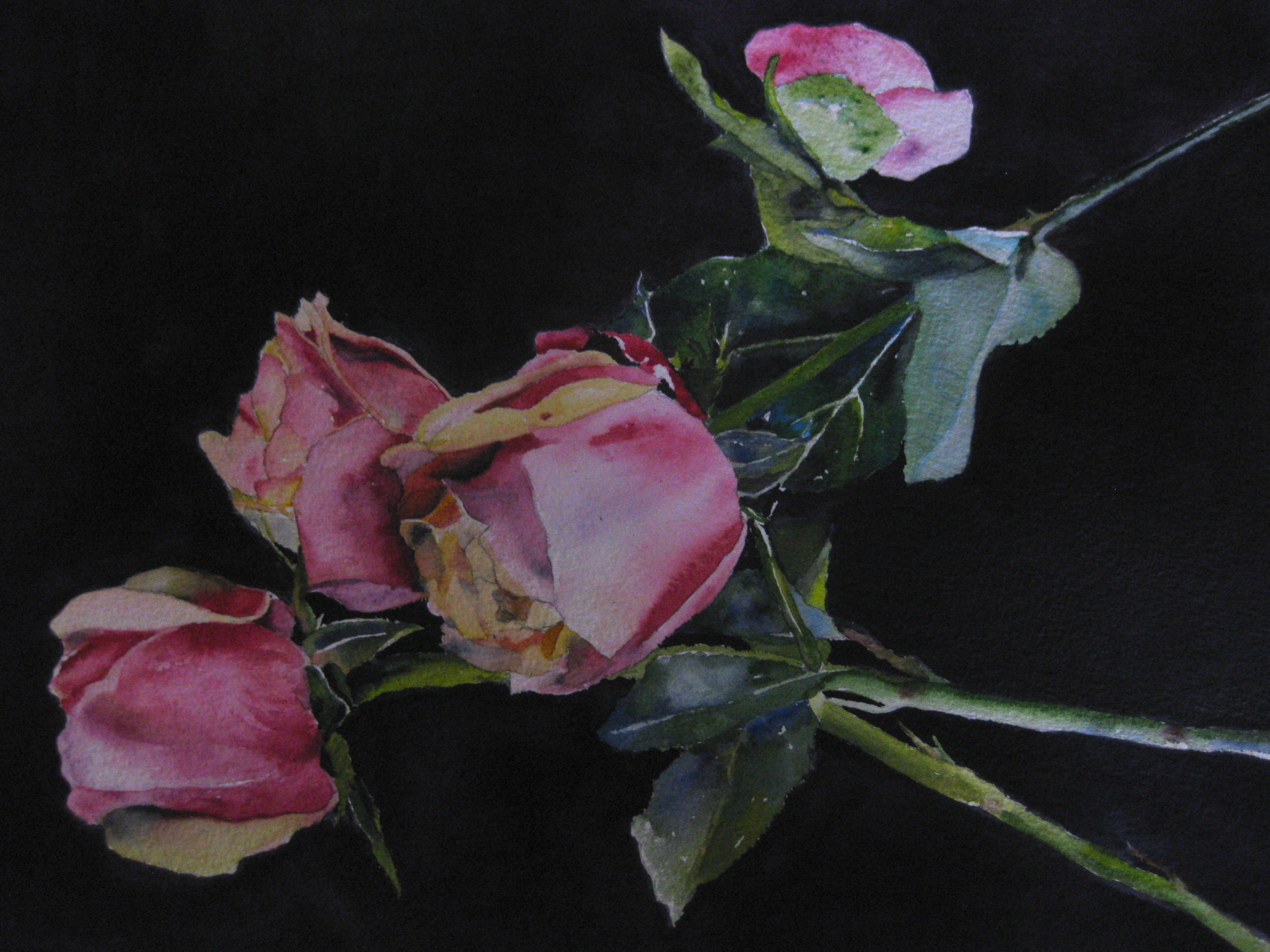 Watercolor