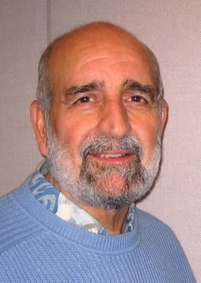 Salvatore Gulino Artist