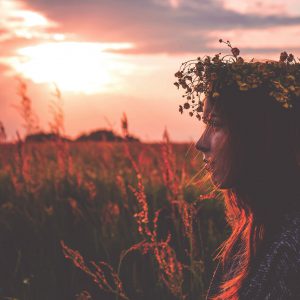 Build Instagram Business