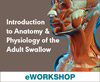 Introduction to Anatomy & Physiology of the Adult Swallow