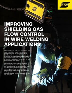 TrueFlow article thumbnail