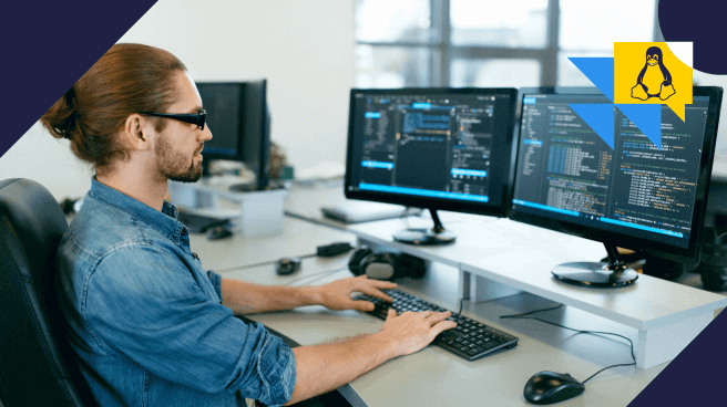 Cat Linux: confira as aplicações e como utilizá-lo Cat Linux: confira as aplicações e como utilizá-lo