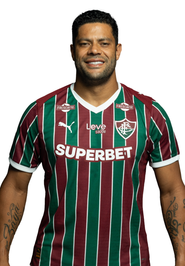 Hulk   santinho profile