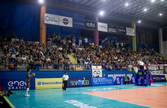 54944161422 753007c0bc c thumbnail