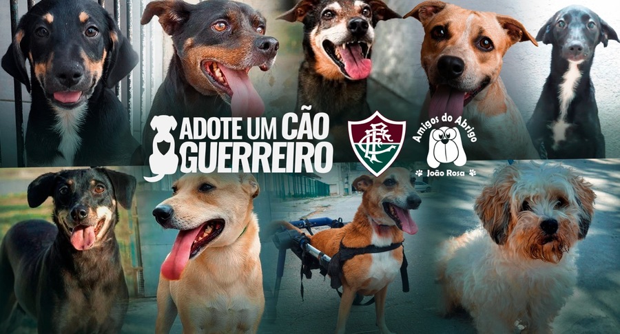 6086dcbf 3cd7 49b9 8e0a e6e6a5e91bba banner