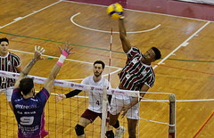 54964456724 2893c6b24d c thumbnail