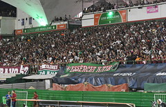 55042036164 dfdd3c2c6b k thumbnail