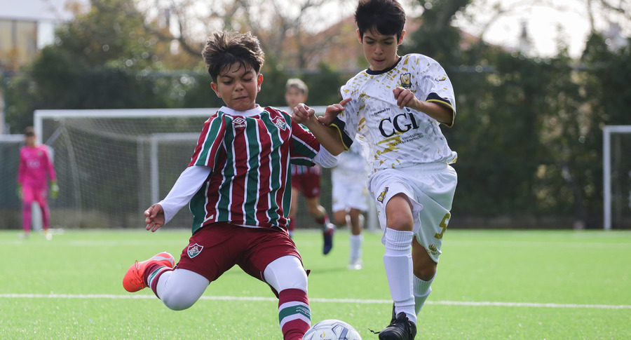 Img 1214 %281%29 banner