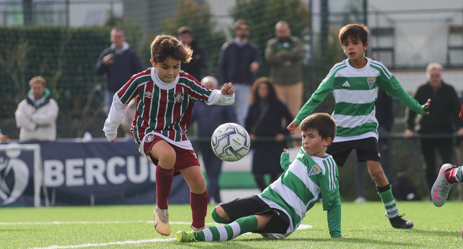 Img 0274 %281%29 banner