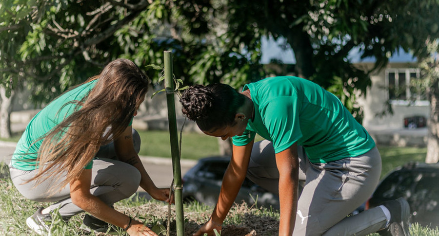 55129462578 db1cb07935 c banner