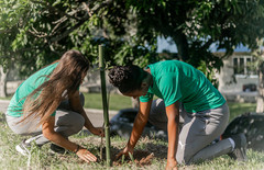 55129462578 db1cb07935 c thumbnail