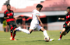 55134114265 6ffb81df8d k thumbnail