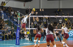 55146420785 ca1010dc22 c thumbnail