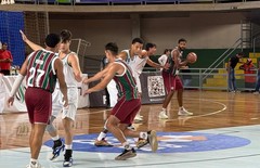 Whatsapp image 2026 03 15 at 18.16.08 thumbnail