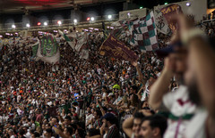 55161188473 69cd85095e c thumbnail