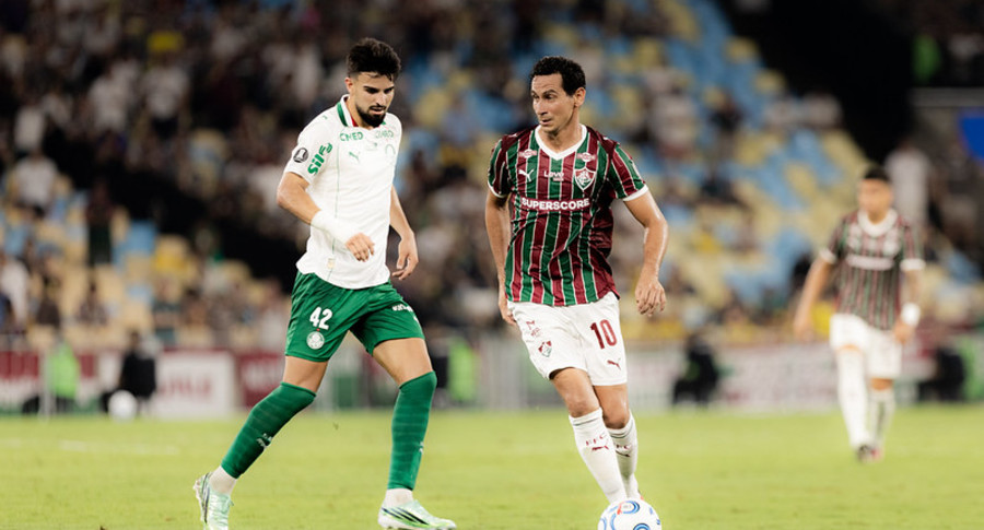 55590465593 bf9a7bc774 c banner