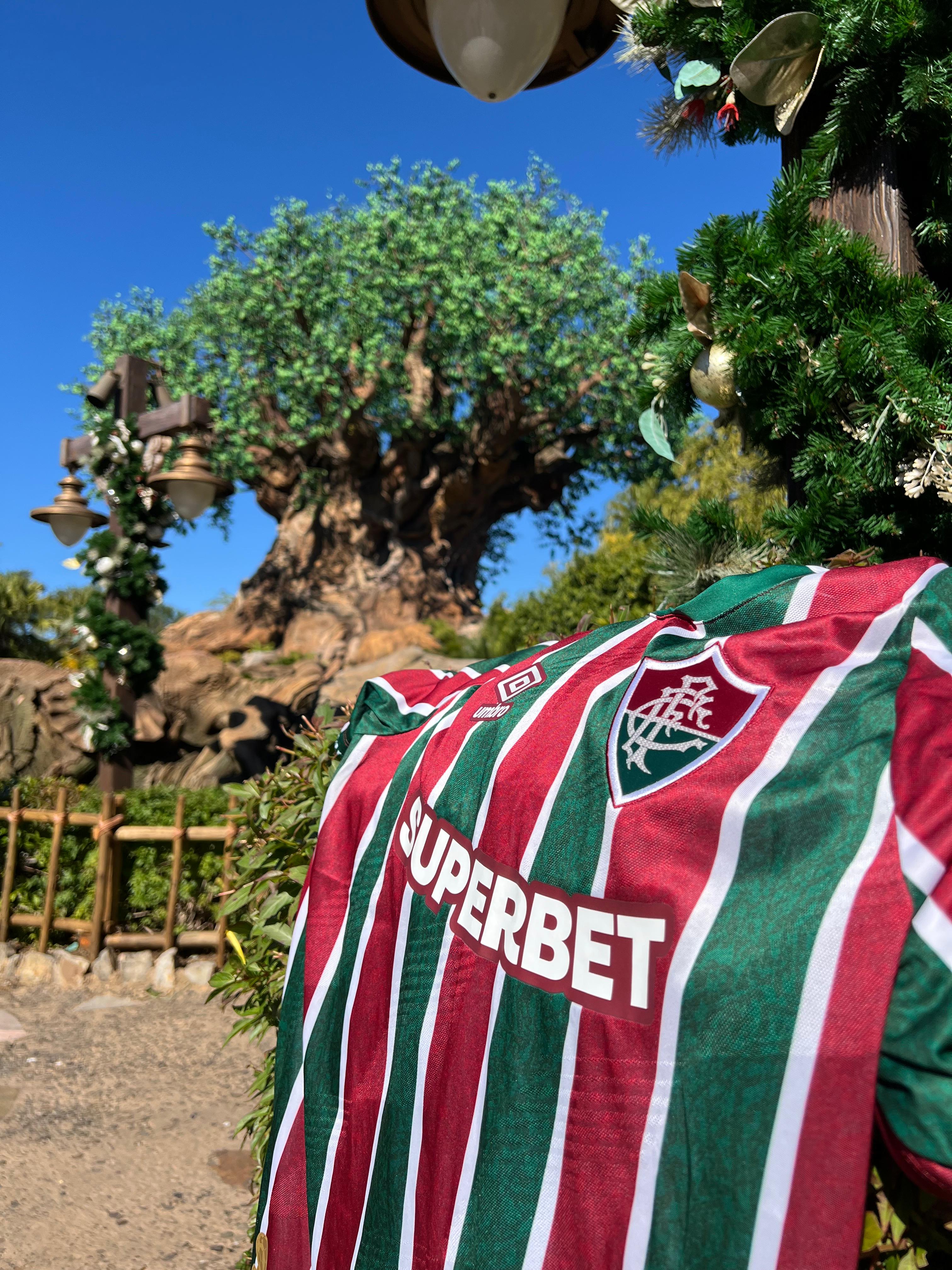 Crianças e jovens do Fluminense Experience visitam parque da Disney em ...