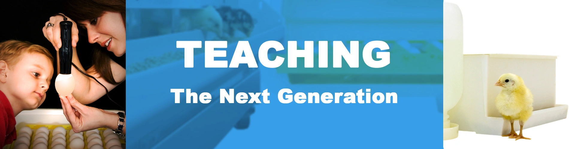 Teaching Banner