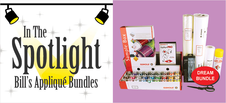 in the spotlight applique bundles