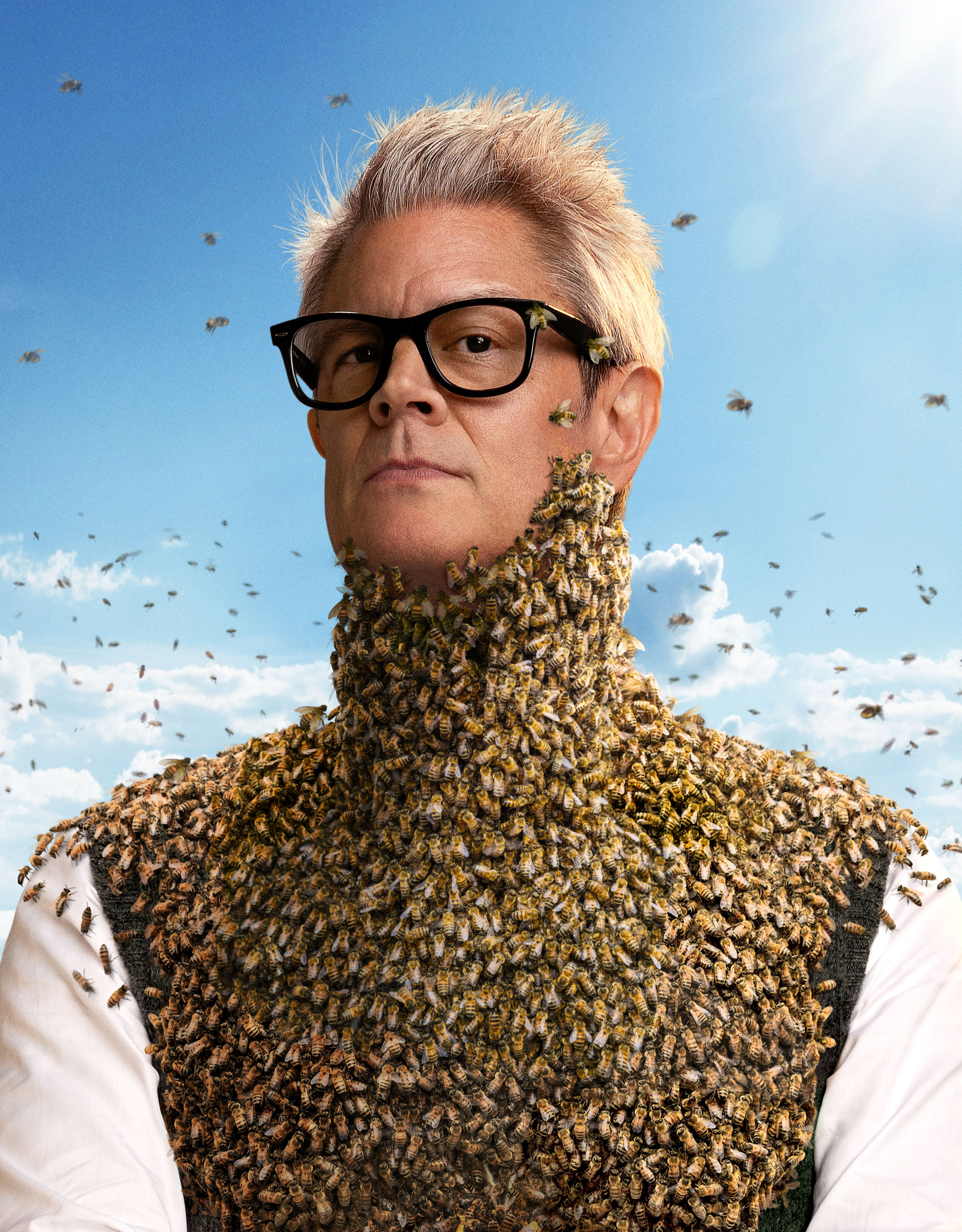 show hero image in three sizes