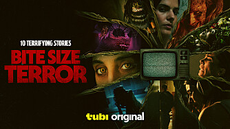 show hero image in three sizes