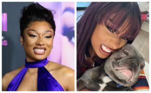 Ciara, Zendaya and Other Black Celebs With Adorable Dogs