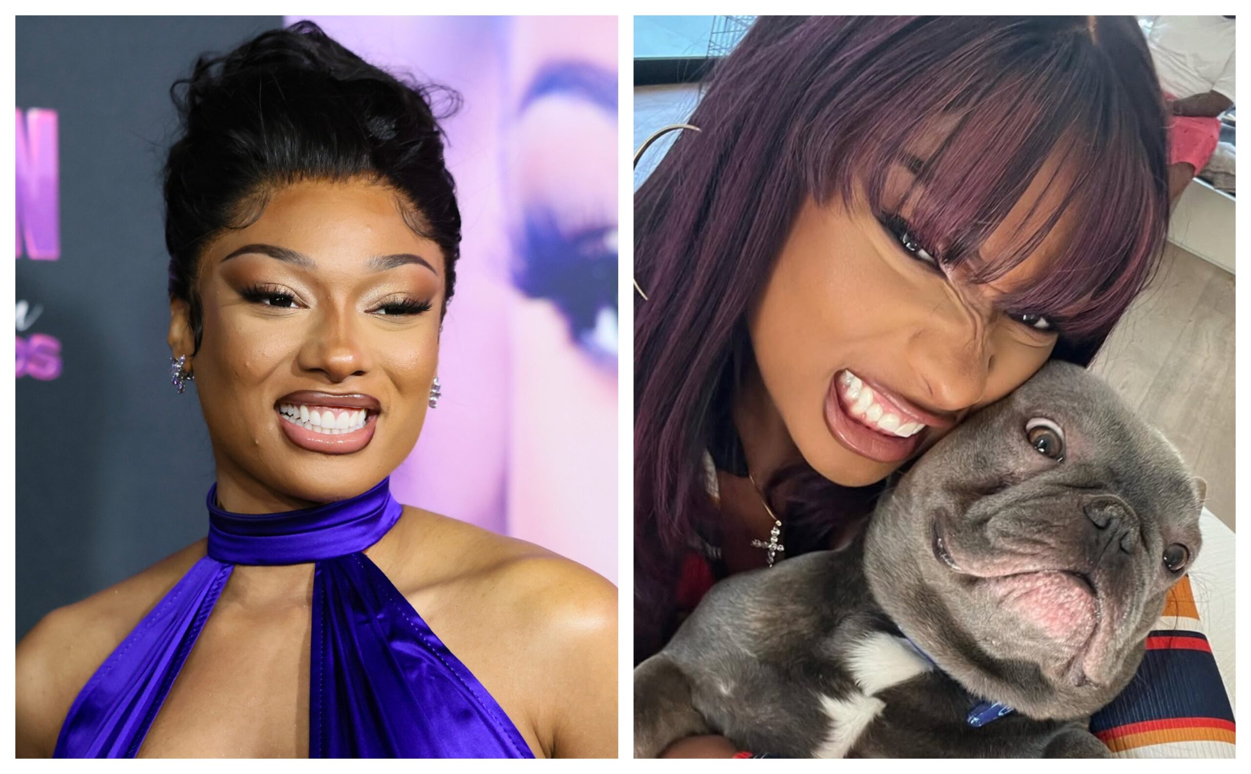 Megan Thee Stallion and her dog 4oe. Photo: Getty Images Rodin Eckenroth/WireImage; Instagram/TheeStallion