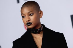 Don’t Get it Twisted, Willow Smith Has Reasons to Vehemently Reject ‘Nepo baby’ Label