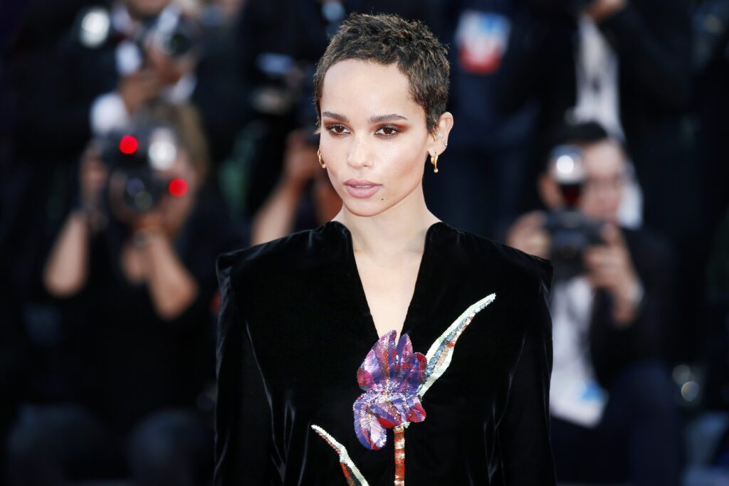 Zoe Kravitz Says She Was Denied Audition For The Dark Knight Because She Was “Too Urban” [UPDATED]