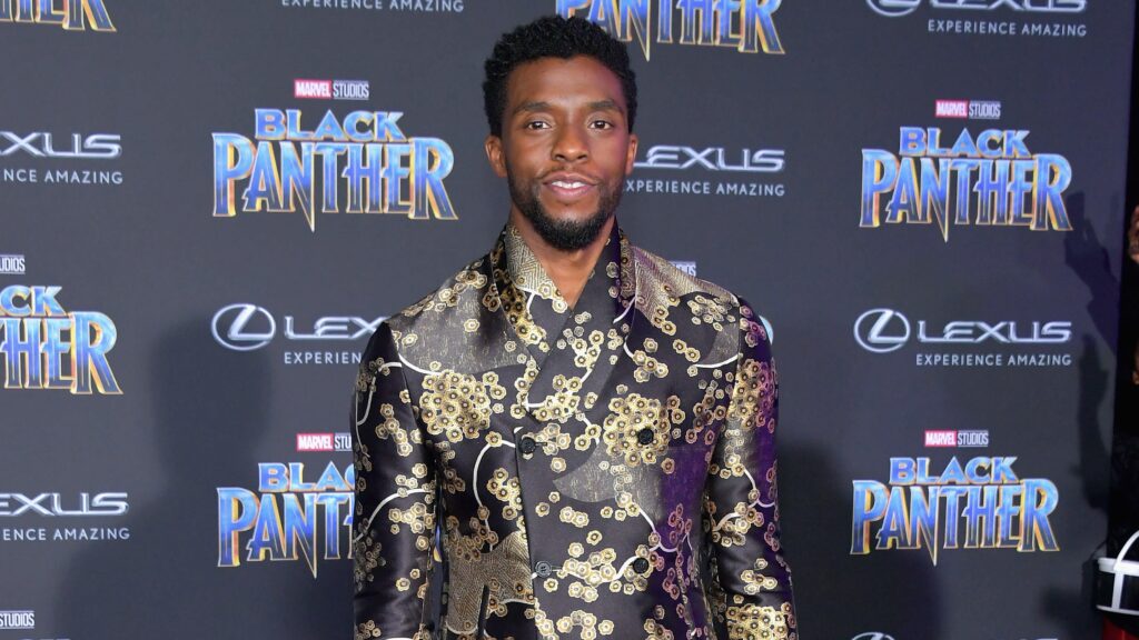 Thousands of Fans Are Apparently Petitioning to Get King T’Challa Recast, and No. Just No.