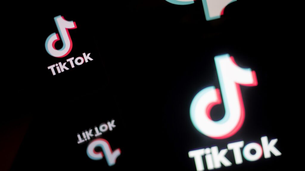 TikTok Launches Incubator Program Featuring 100 Black Creators Up for the Challenge