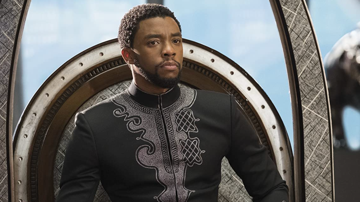 Chadwick Boseman in Black Panther (2018) Photo: Walt Disney Studios Motion Pictures