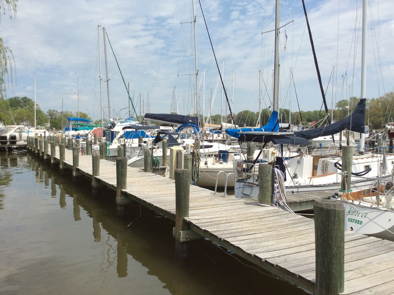 Shipwright Harbor Marina