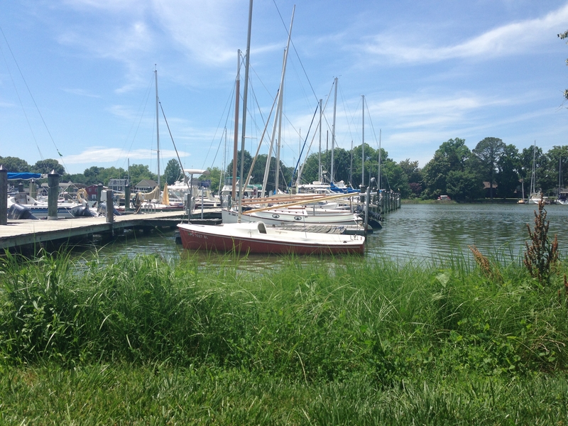 Town Creek Marina by Campbell's