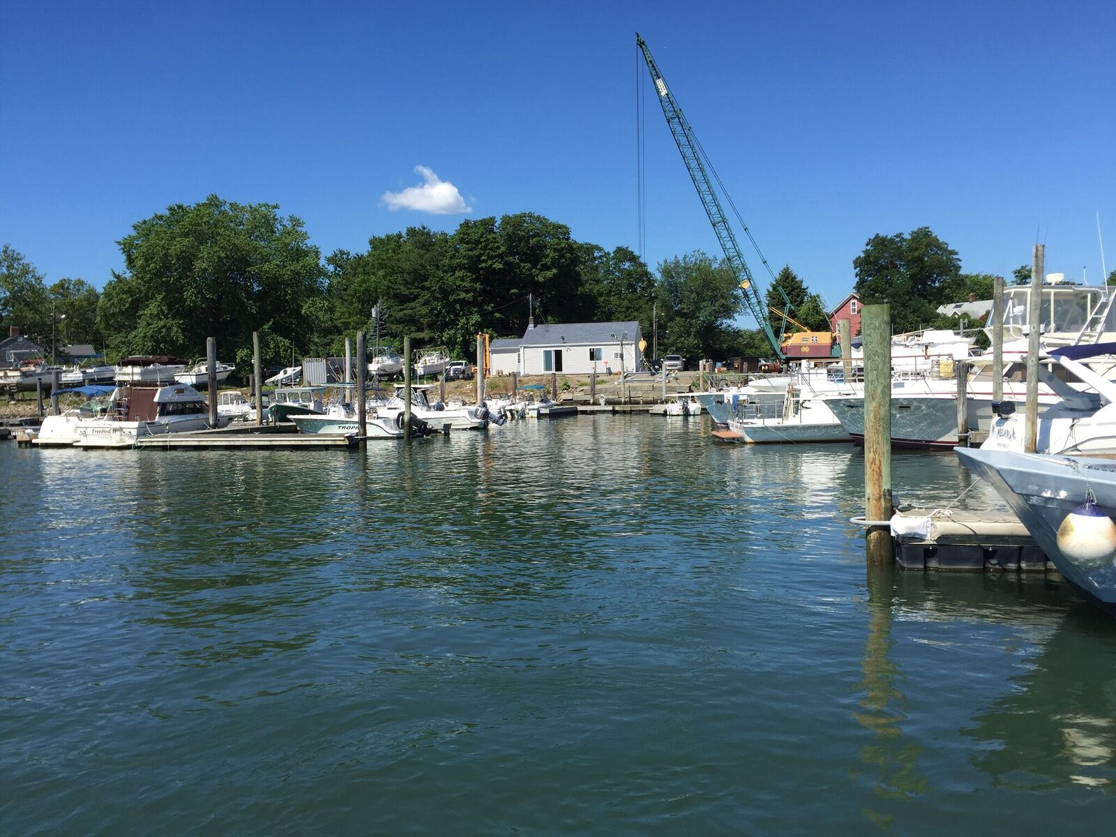 Brown's Marina