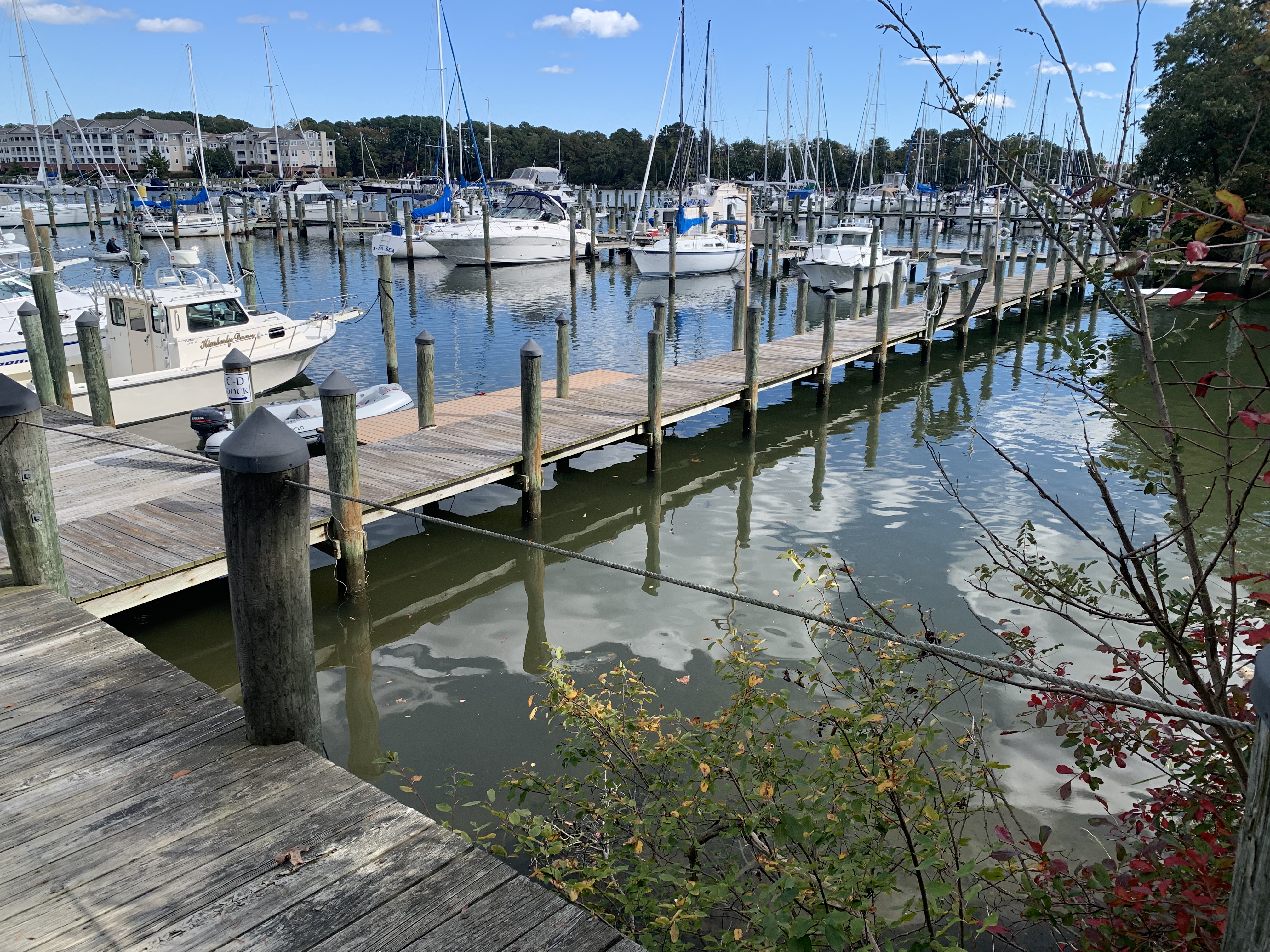 Solomons Harbor Marina