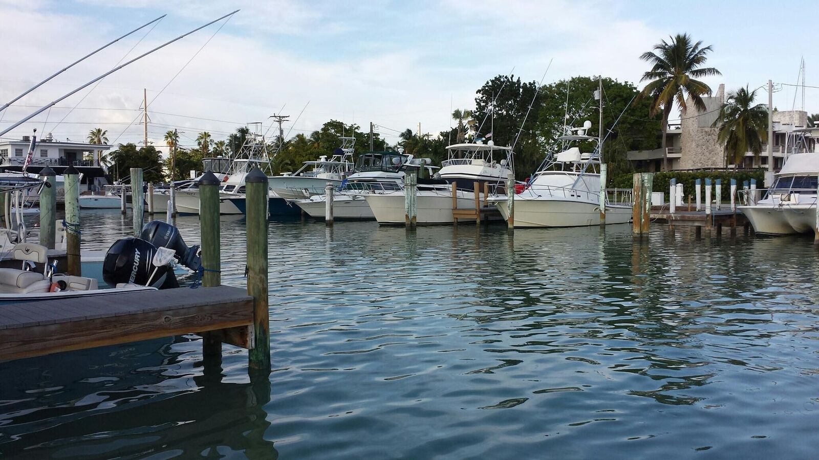 Caloosa Cove Resort & Marina