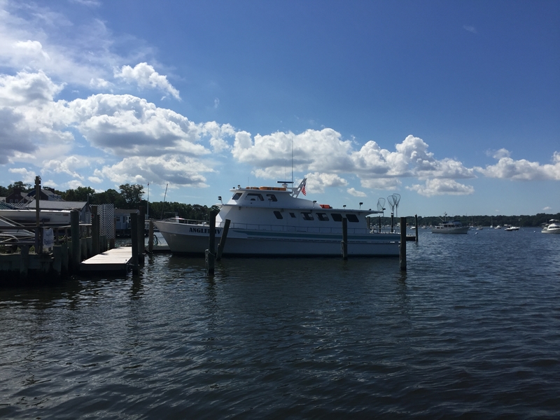 The Marina at Inspiration Wharf