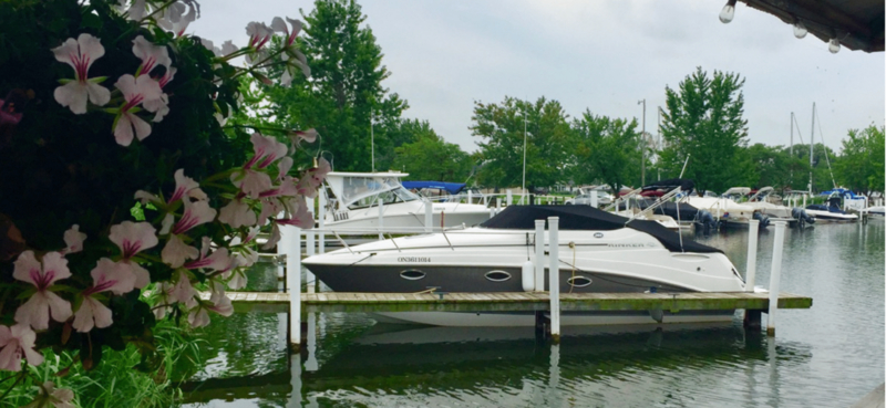 Paramount Marine at the Cove Marina