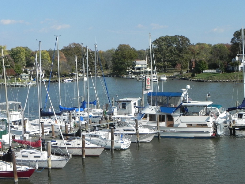 Cadle Creek Marina