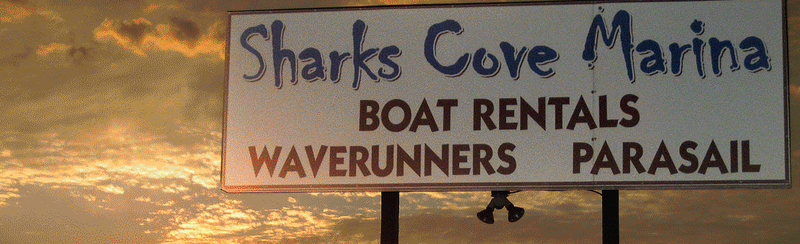 Sharks Cove Marina