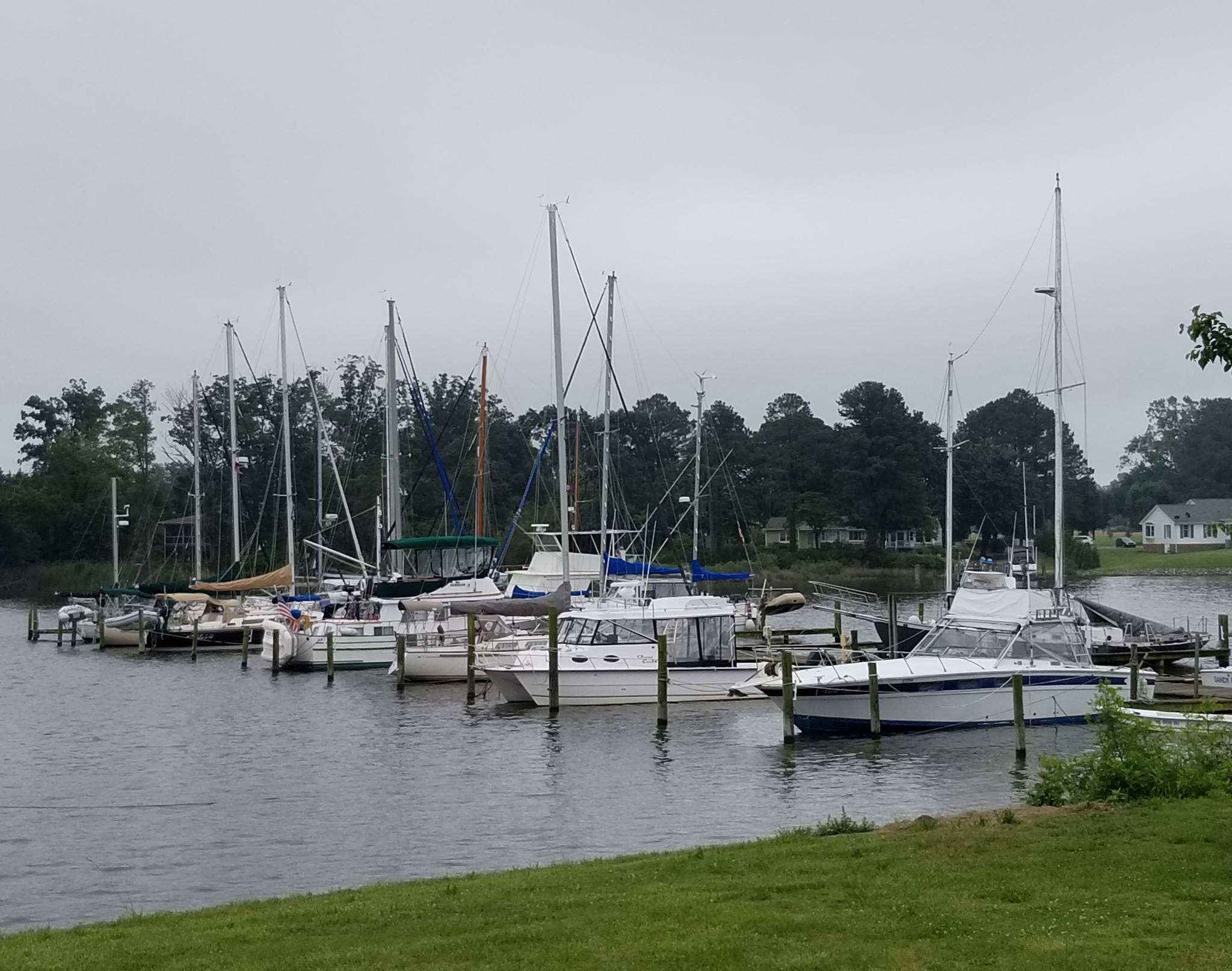 Coan River Marina