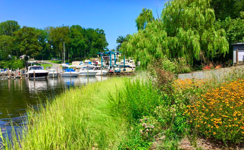 Annapolis Harbor South