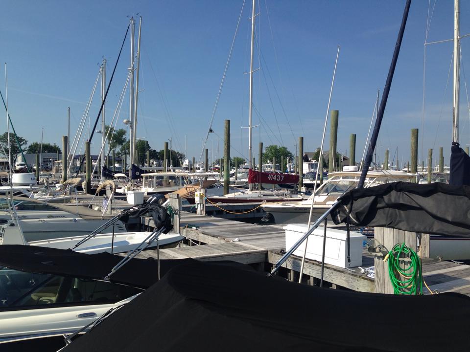Rex Marine