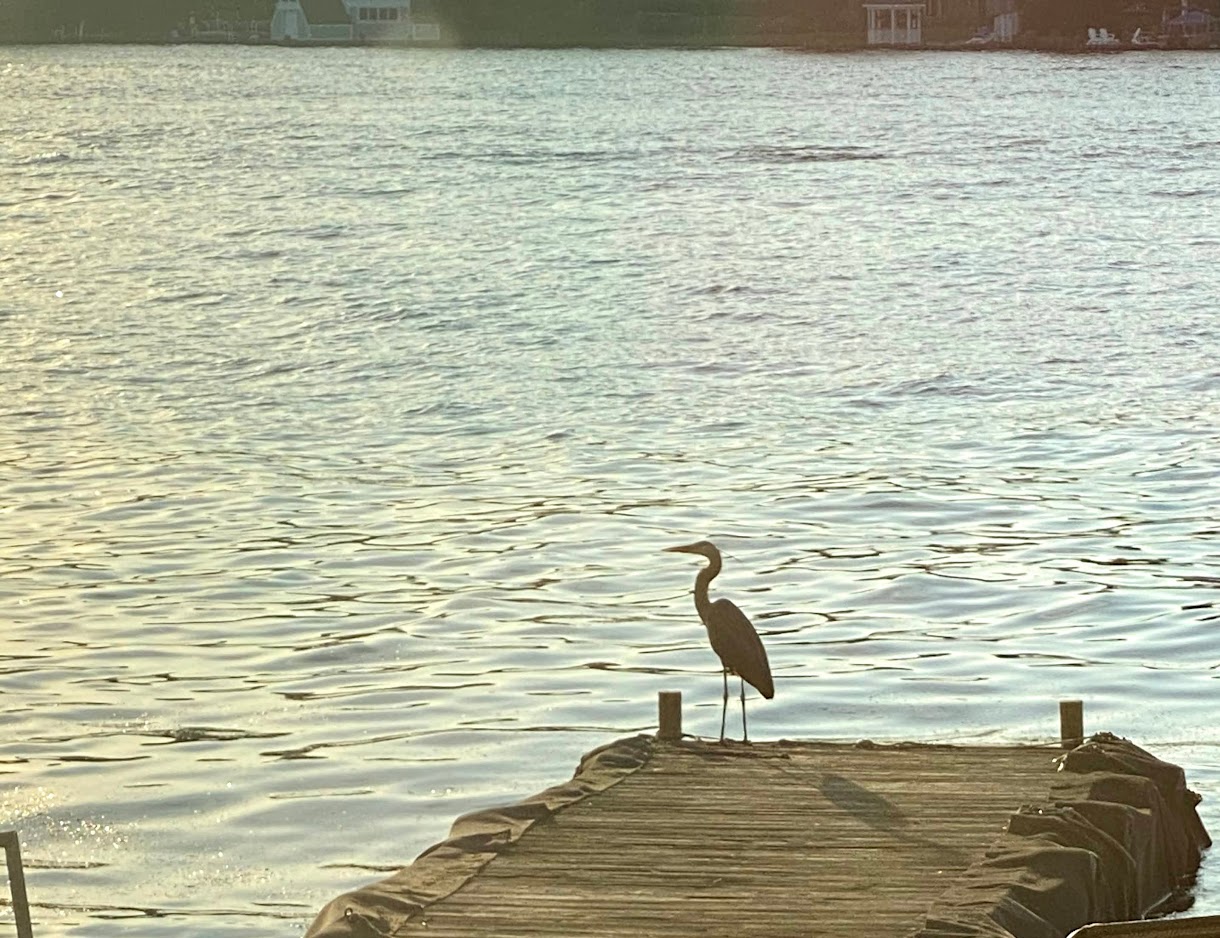 Private Slip Available on Lake Hopatcong