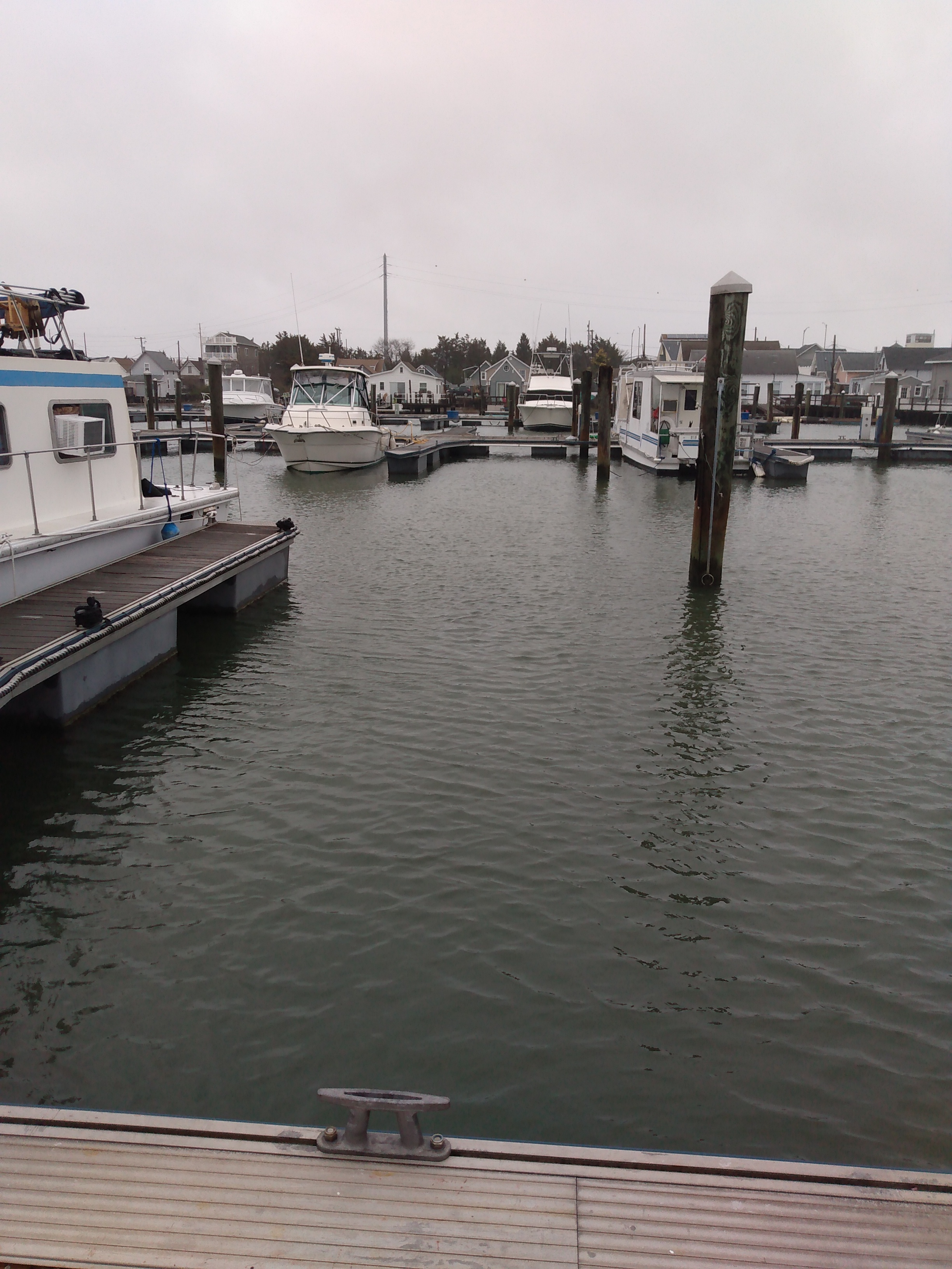 Live Aboard Slip with All the Amenities