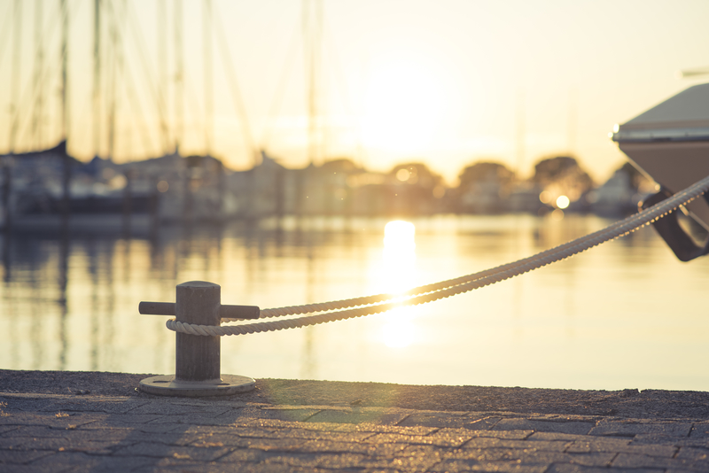 Marinalife Marina