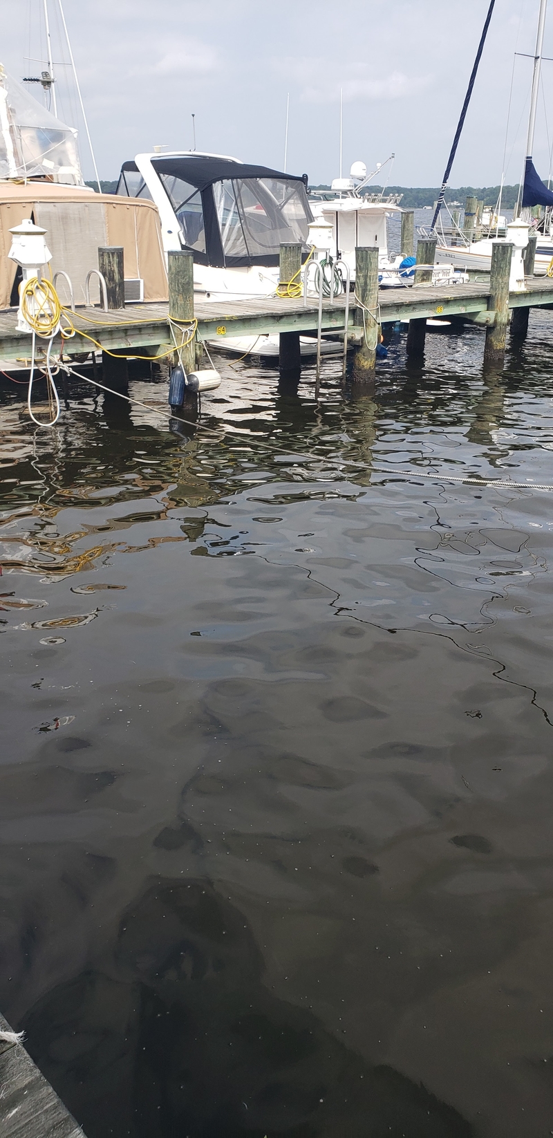 Magothy River Boat Slip for Rent Severna Park, MD Chesapeake Bay